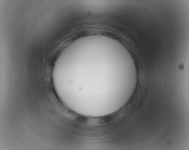 X0000113630757200909181304