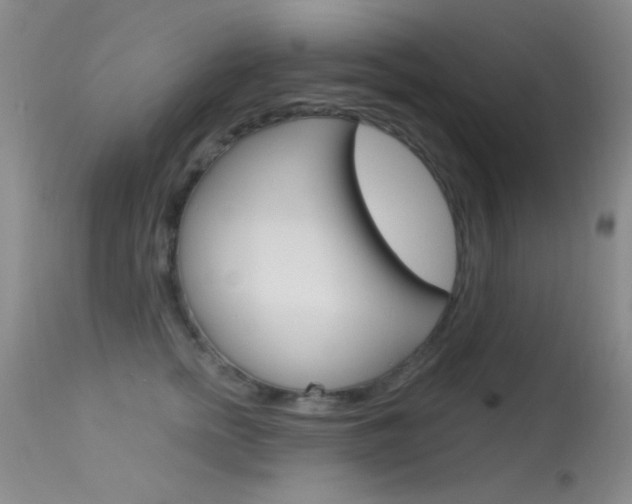 X0000113630758200909181304