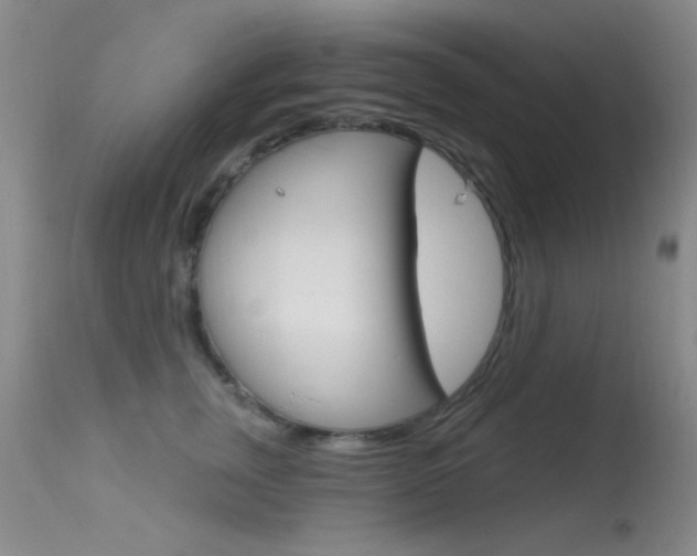 X0000113630759200909181304