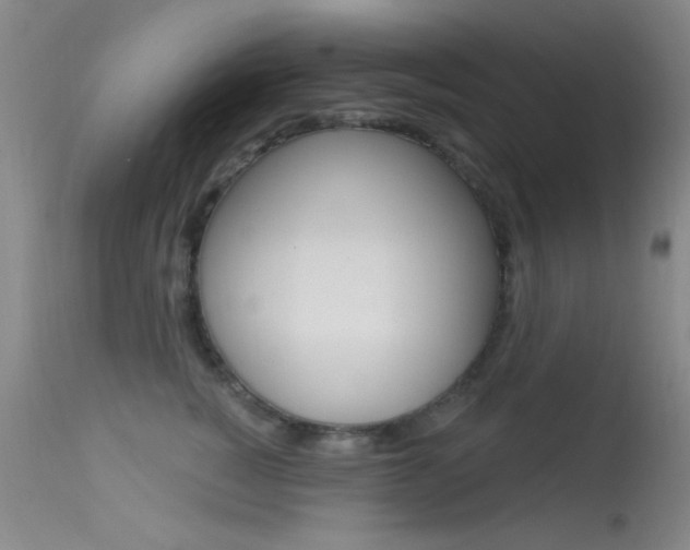 X0000113630760200909181304