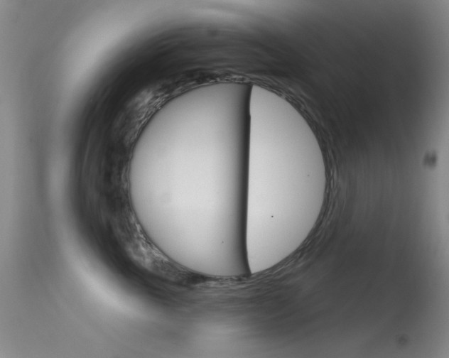 X0000113630763200909181304