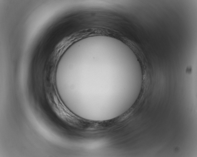 X0000113630765200909181304