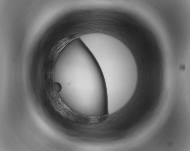 X0000113630766200909181304