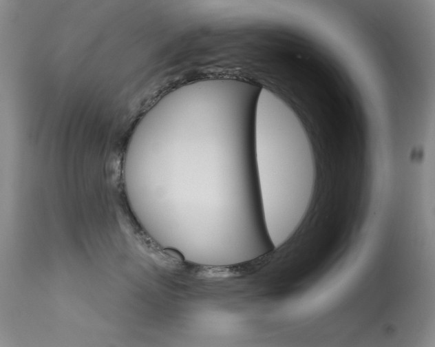 X0000113630767200909181304