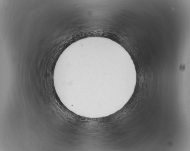 X0000113630769200909181304