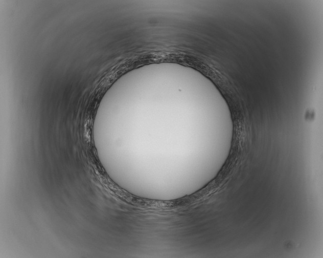 X0000113630770200909181304