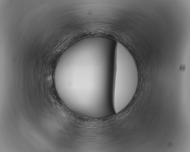 X0000113630771200909181304