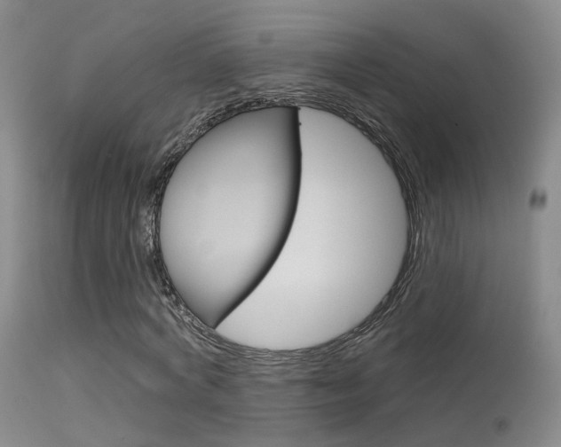 X0000113630772200909181304