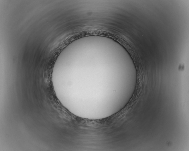 X0000113630774200909181303