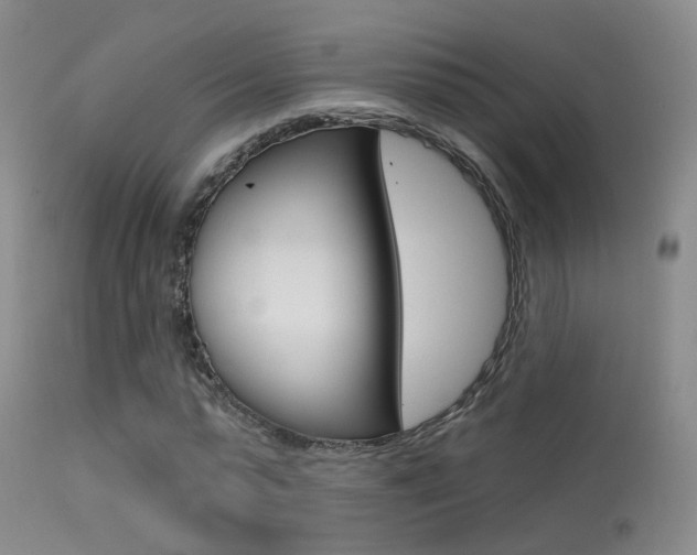 X0000113630775200909181303