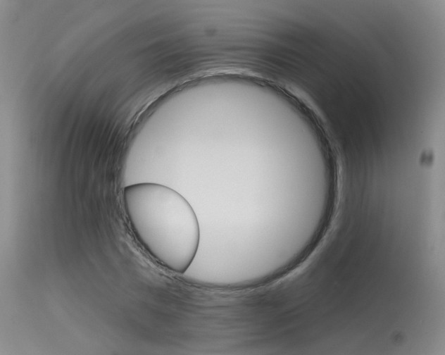 X0000113630777200909181303