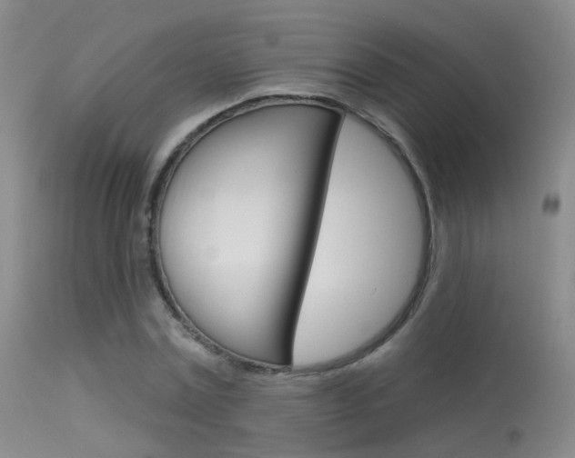 X0000113630779200909181303