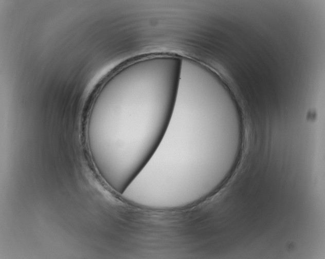 X0000113630780200909181303