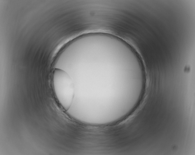 X0000113630781200909181303