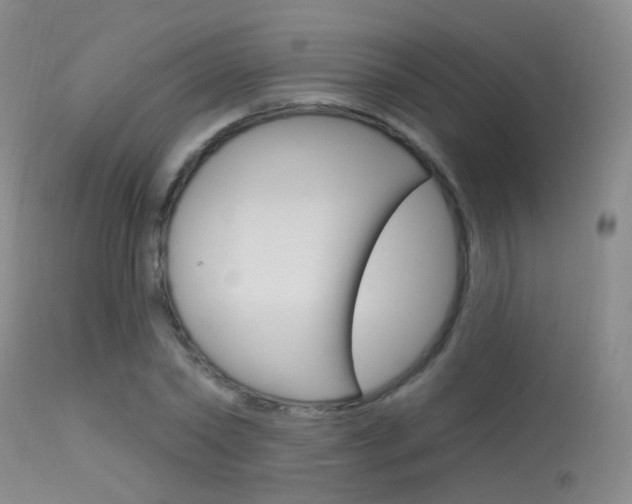 X0000113630782200909181303