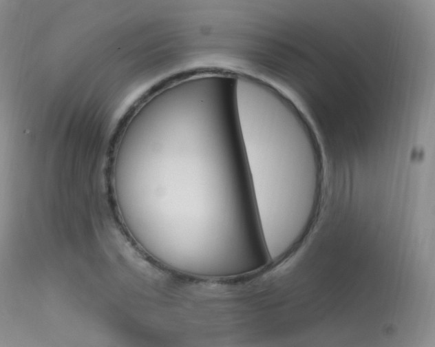 X0000113630783200909181303