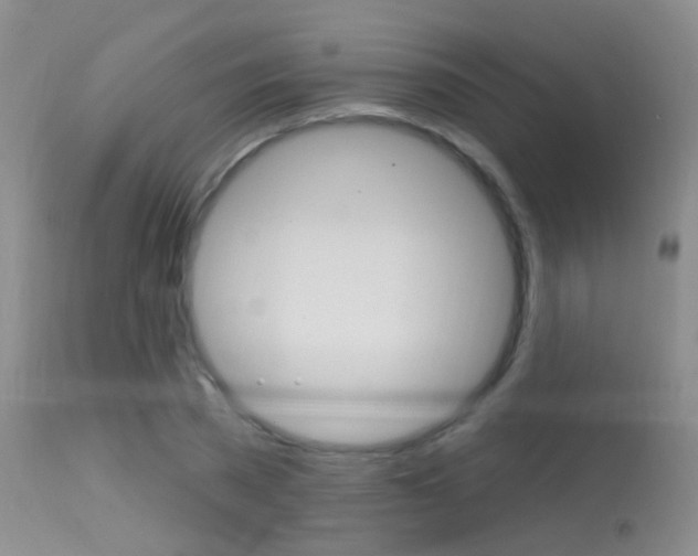 X0000113630785200909181303