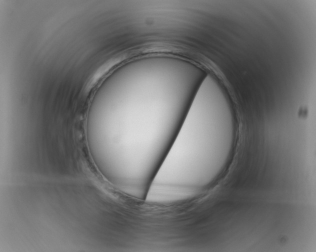 X0000113630786200909181303