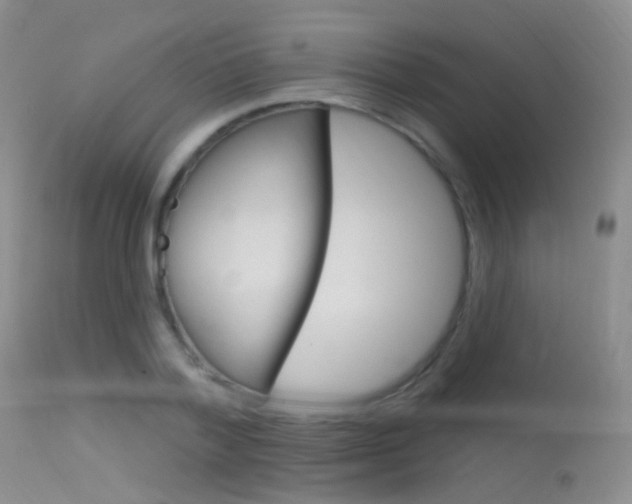 X0000113630788200909181303