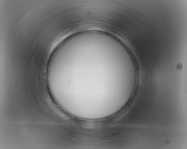 X0000113630790200909181303