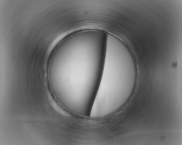 X0000113630792200909181303
