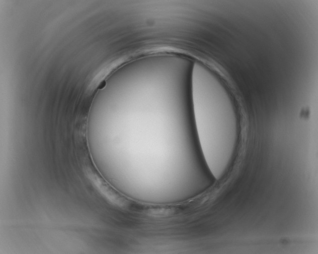 X0000113630793200909181303