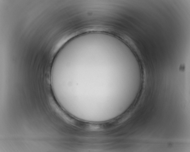 X0000113630794200909181303