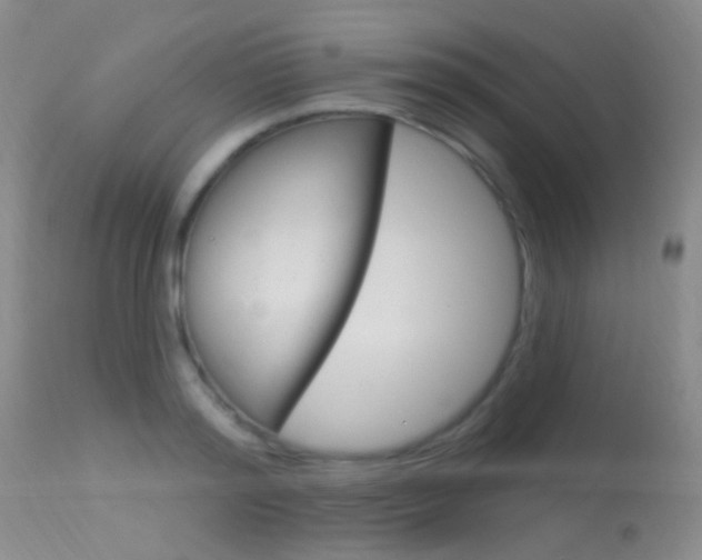 X0000113630796200909181303