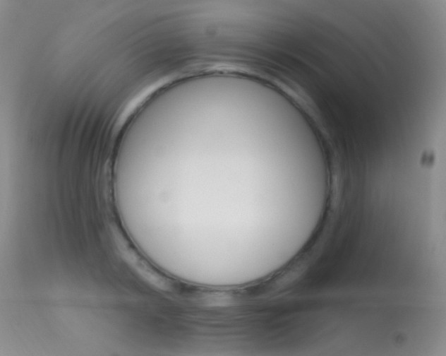 X0000113630798200909181303