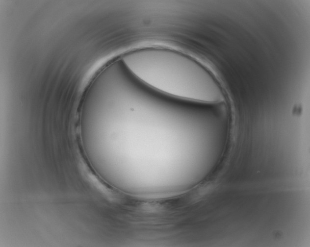 X0000113630799200909181303