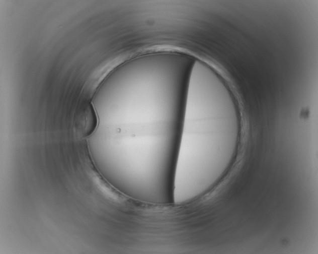 X0000113630801200909181303