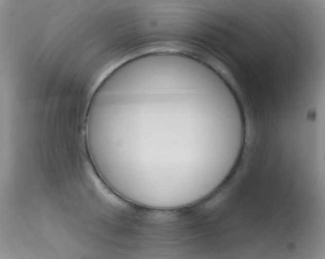 X0000113630802200909181303