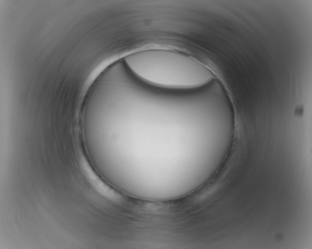 X0000113630803200909181303