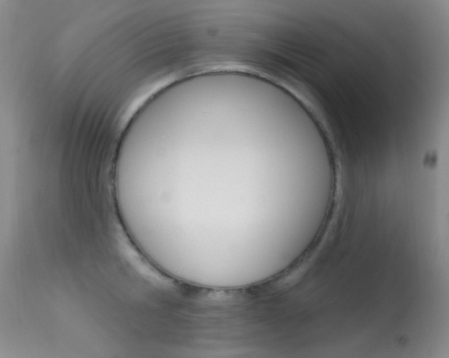X0000113630806200909181303