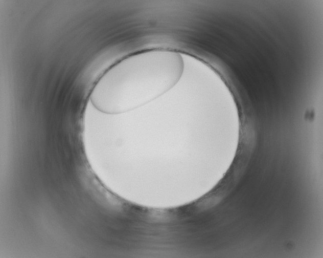 X0000113630807200909181303