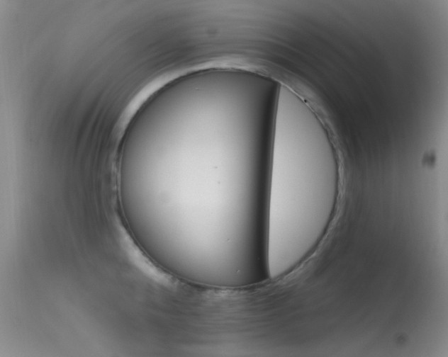 X0000113630808200909181303