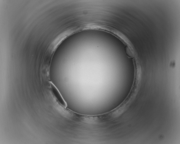 X0000113630809200909181303