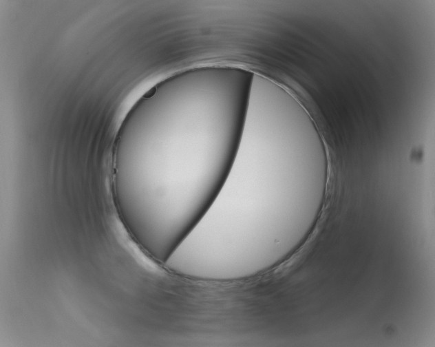 X0000113630812200909181303