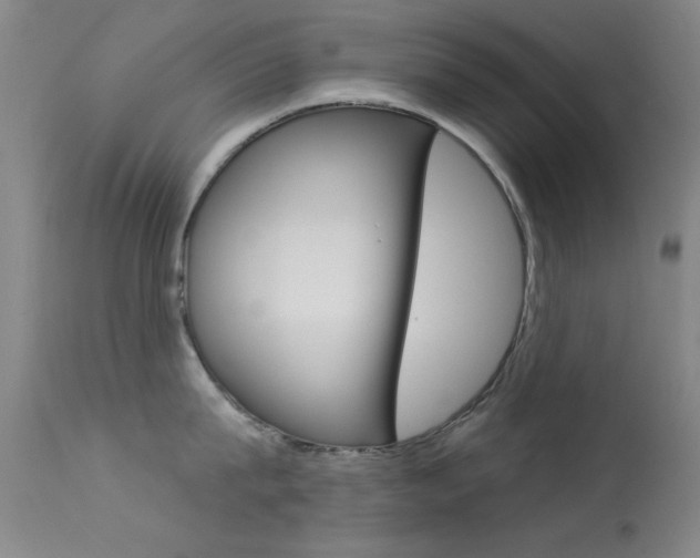 X0000113630815200909181303