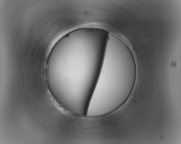 X0000113630816200909181303