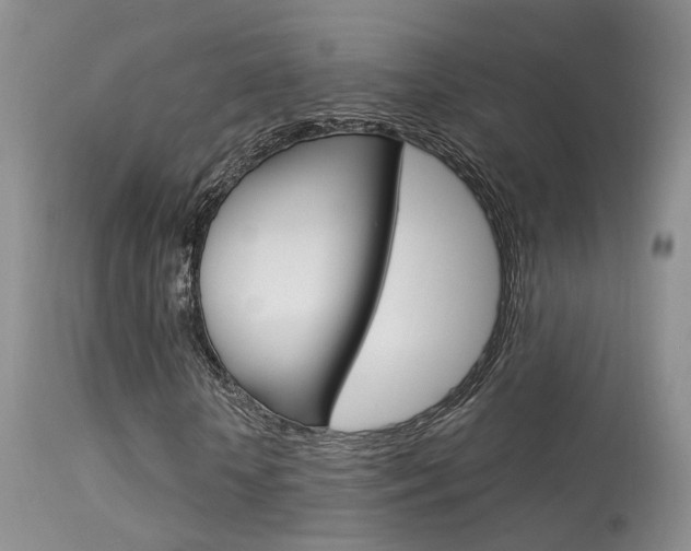 X0000113630818200909181302