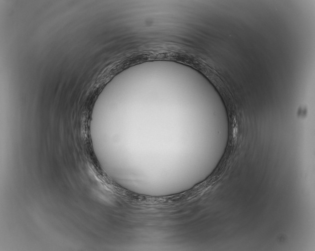 X0000113630819200909181302