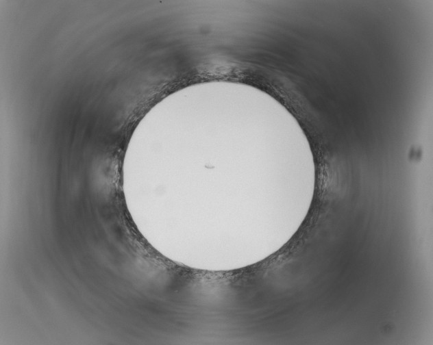 X0000113630820200909181302