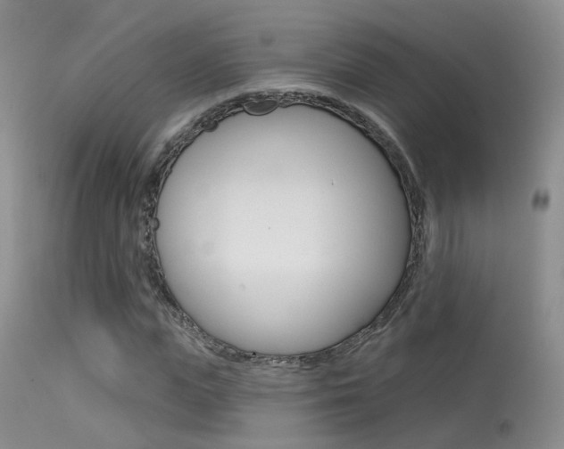 X0000113630823200909181302