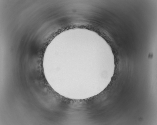 X0000113630824200909181302
