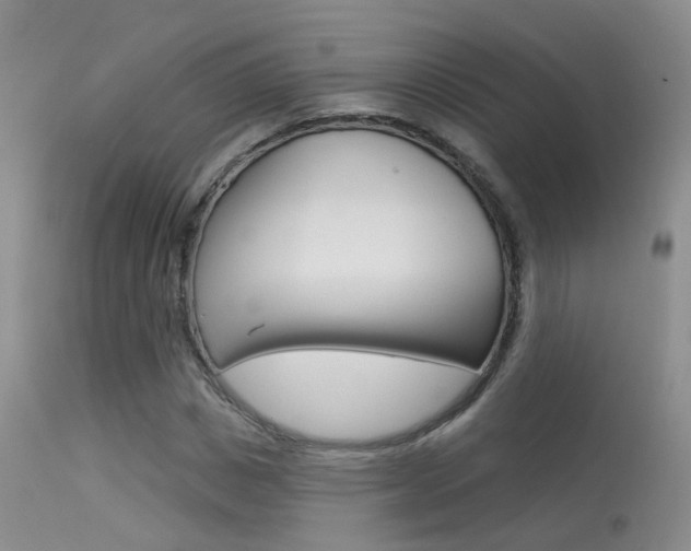 X0000113630825200909181302