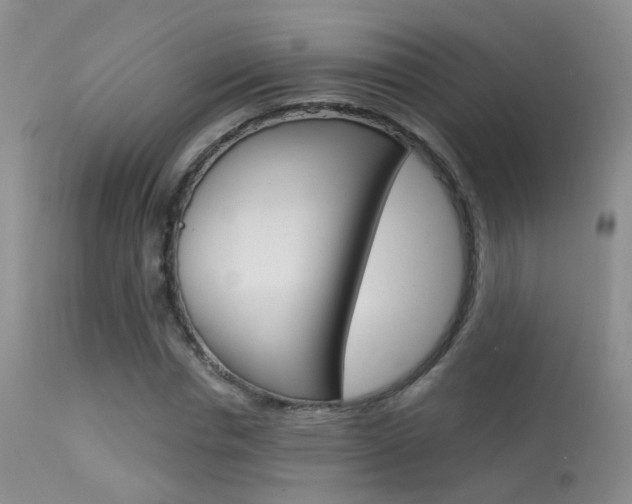 X0000113630826200909181302