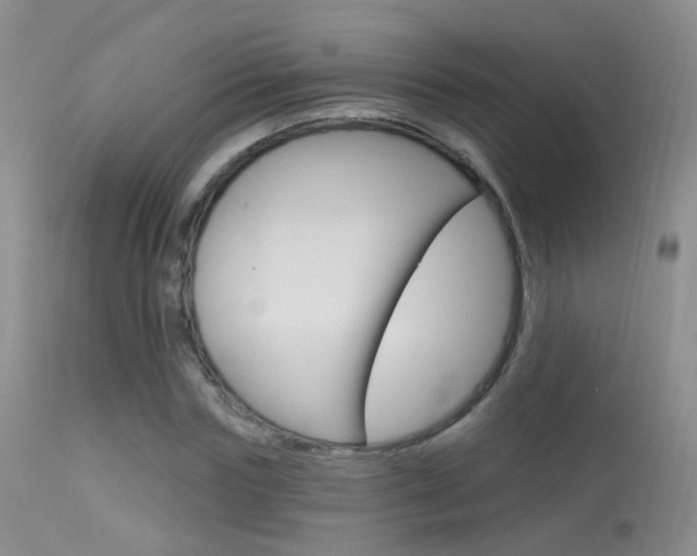X0000113630827200909181302