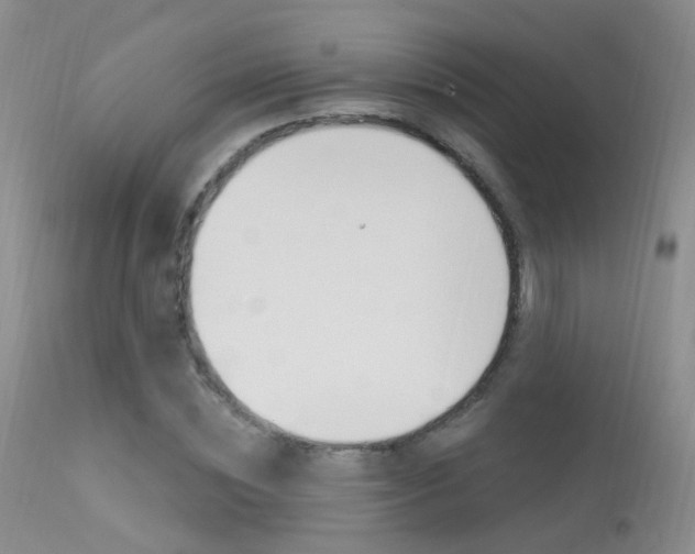 X0000113630828200909181302
