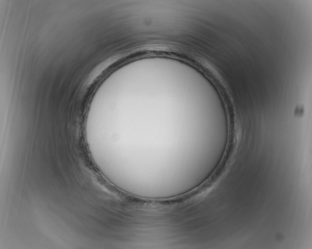 X0000113630829200909181302